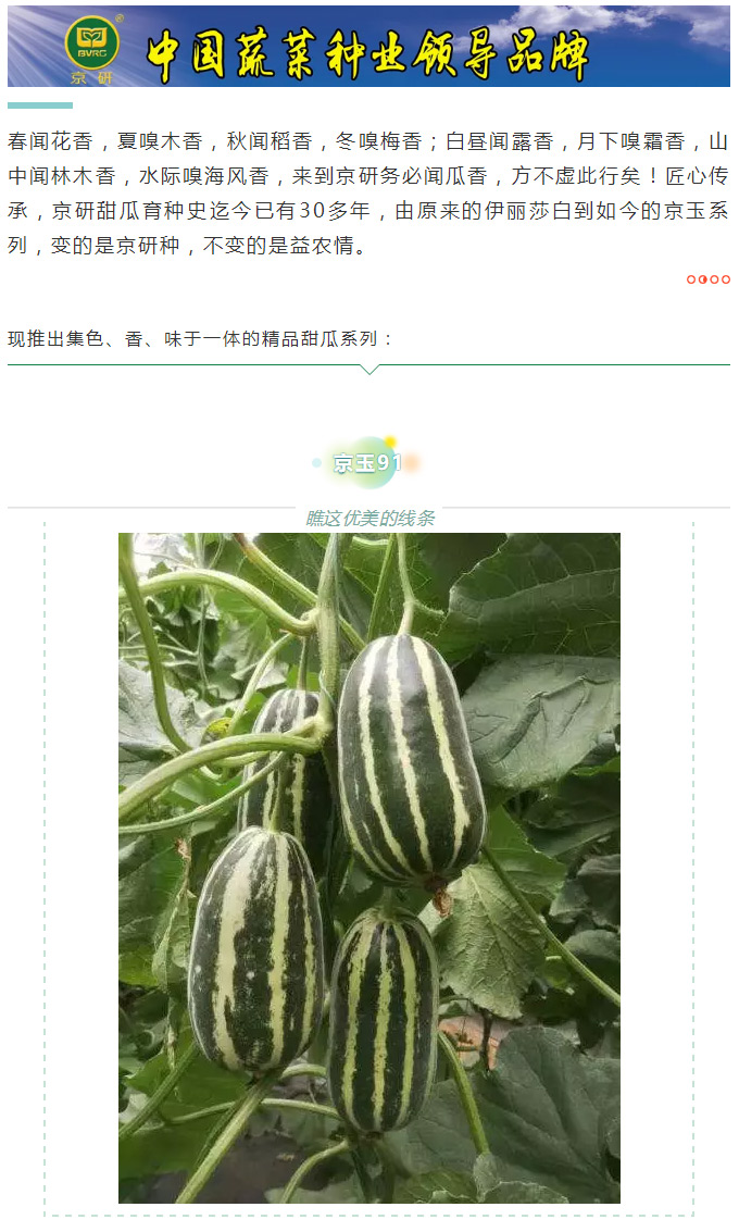 瓜香引人，效益留人——京玉系列_01.jpg